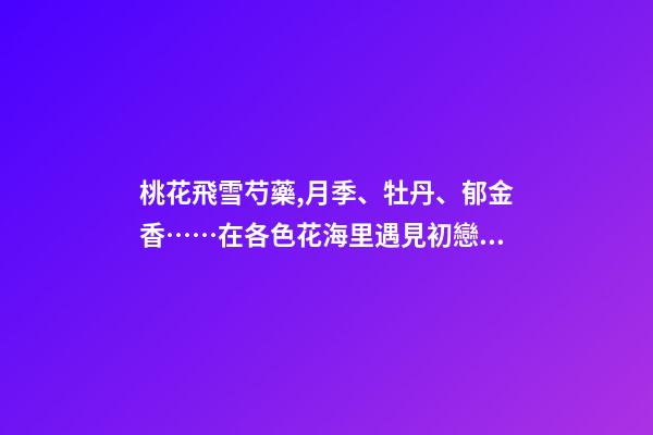 桃花飛雪芍藥,月季、牡丹、郁金香……在各色花海里遇見初戀般的浪漫-第1張-觀點(diǎn)-玄機(jī)派