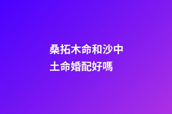 桑拓木命和沙中土命婚配好嗎