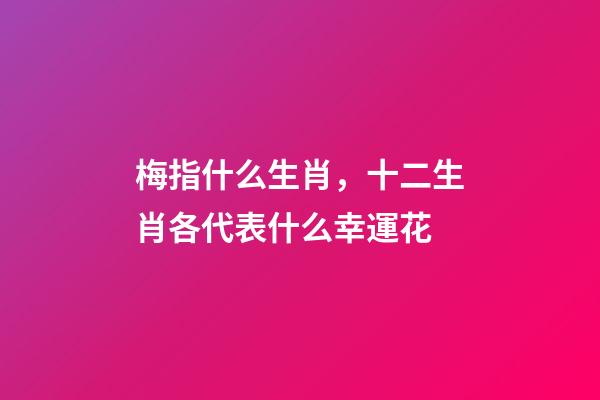 梅指什么生肖，十二生肖各代表什么幸運花-第1張-觀點-玄機派