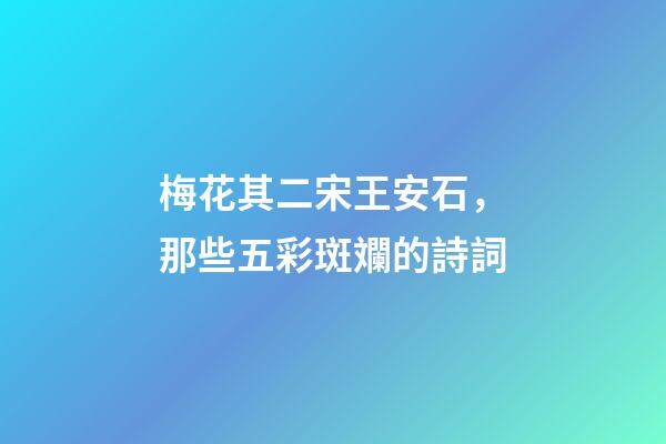 梅花其二宋王安石，那些五彩斑斕的詩詞-第1張-觀點-玄機派