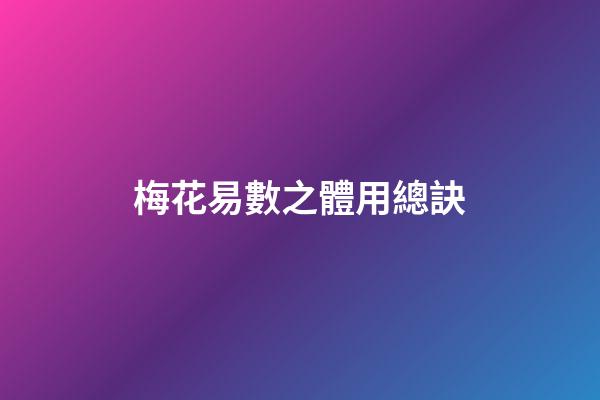 梅花易數之體用總訣