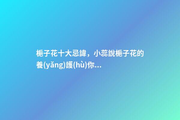 梔子花十大忌諱，小蕊說梔子花的養(yǎng)護(hù)你了解多少-第1張-觀點-玄機派
