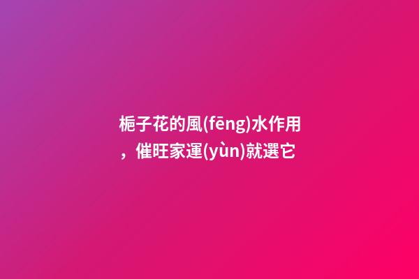 梔子花的風(fēng)水作用，催旺家運(yùn)就選它