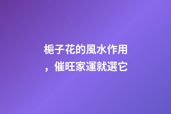 梔子花的風水作用，催旺家運就選它