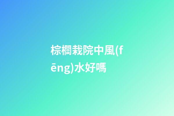 棕櫚栽院中風(fēng)水好嗎