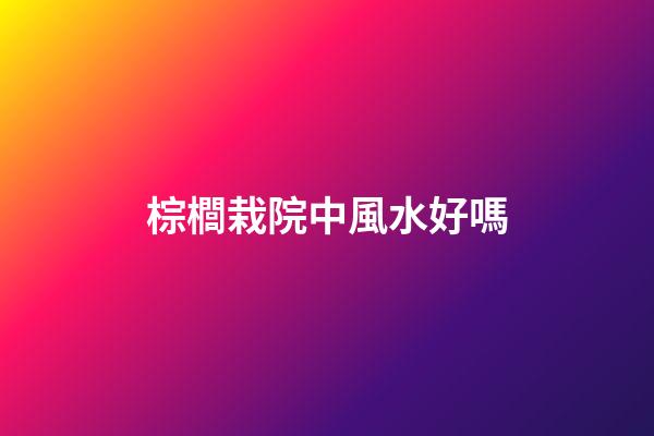 棕櫚栽院中風水好嗎