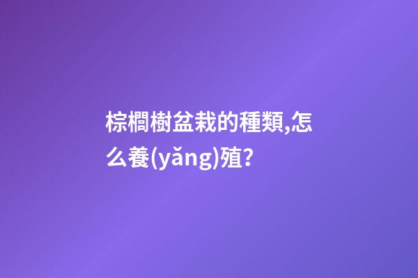 棕櫚樹盆栽的種類,怎么養(yǎng)殖？