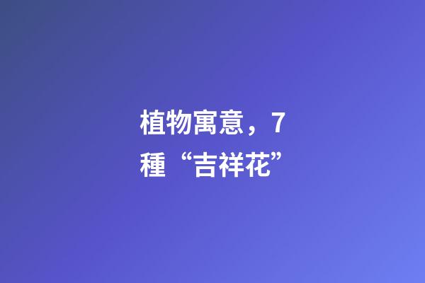 植物寓意，7種“吉祥花”-第1張-觀點-玄機派