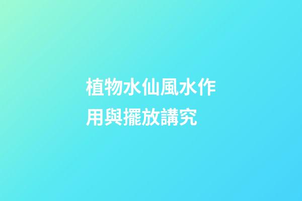 植物水仙風水作用與擺放講究