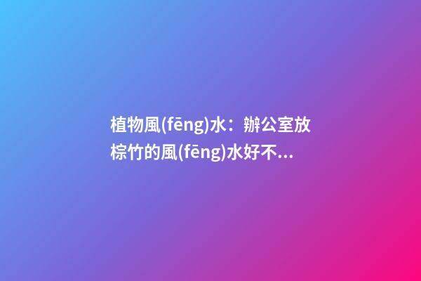 植物風(fēng)水：辦公室放棕竹的風(fēng)水好不好