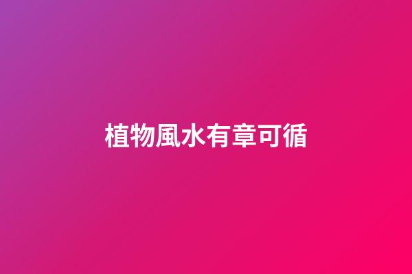 植物風水有章可循