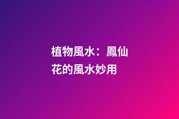 植物風水：鳳仙花的風水妙用