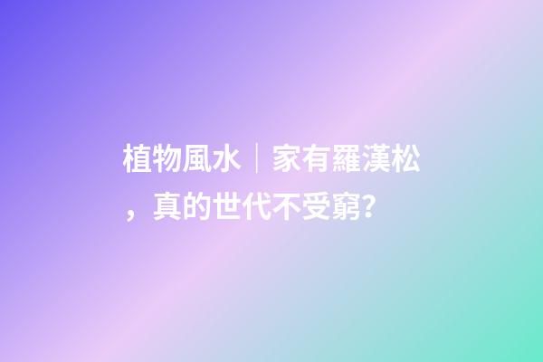 植物風水｜家有羅漢松，真的世代不受窮？