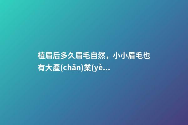 植眉后多久眉毛自然，小小眉毛也有大產(chǎn)業(yè)-第1張-觀點-玄機派