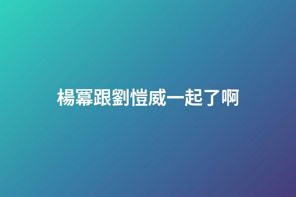 楊冪跟劉愷威一起了啊