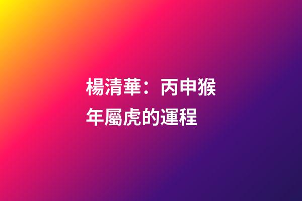 楊清華：丙申猴年屬虎的運程