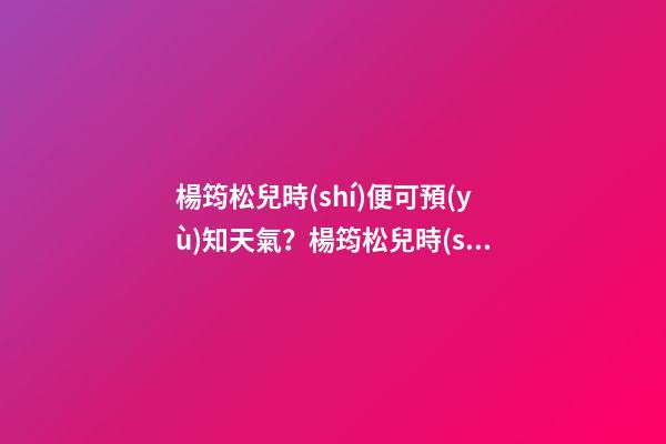 楊筠松兒時(shí)便可預(yù)知天氣？楊筠松兒時(shí)風(fēng)水故事