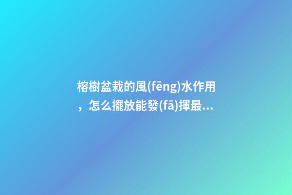 榕樹盆栽的風(fēng)水作用，怎么擺放能發(fā)揮最大效果？