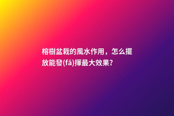 榕樹盆栽的風水作用，怎么擺放能發(fā)揮最大效果？