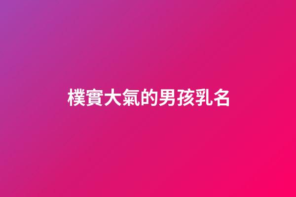 樸實大氣的男孩乳名