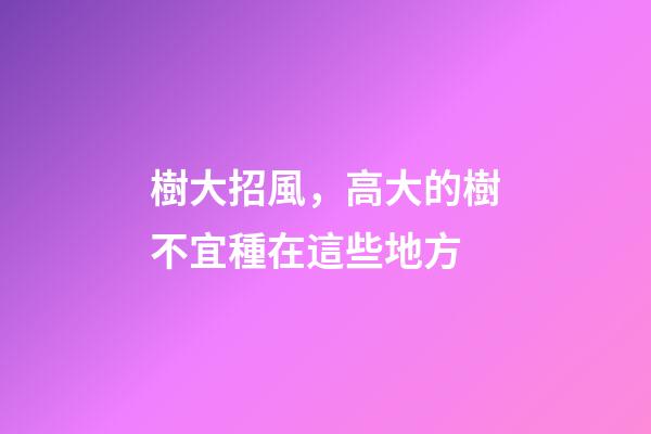 樹大招風，高大的樹不宜種在這些地方
