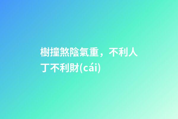 樹撞煞陰氣重，不利人丁不利財(cái)