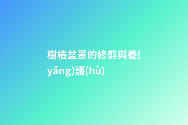 樹樁盆景的修剪與養(yǎng)護(hù)
