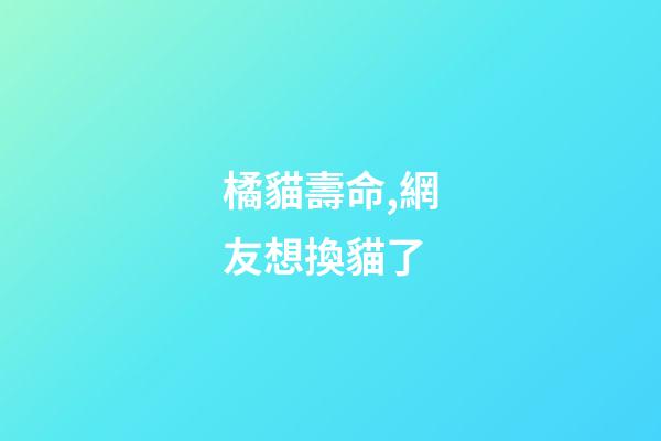 橘貓壽命,網友想換貓了-第1張-觀點-玄機派