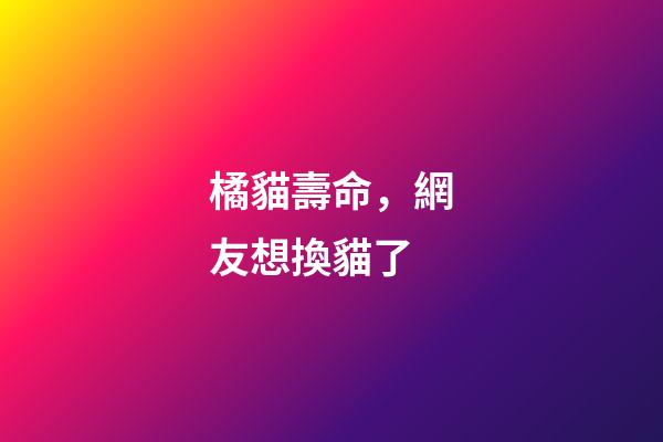 橘貓壽命，網友想換貓了-第1張-觀點-玄機派