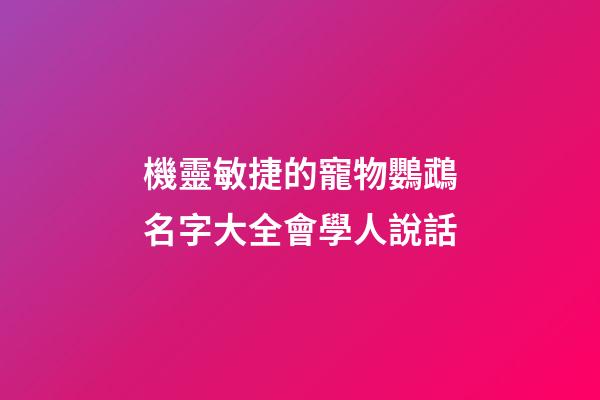 機靈敏捷的寵物鸚鵡名字大全會學人說話