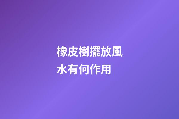 橡皮樹擺放風水有何作用