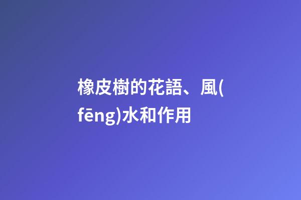 橡皮樹的花語、風(fēng)水和作用