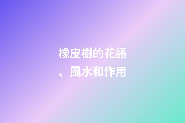 橡皮樹的花語、風水和作用