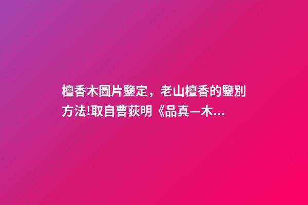 檀香木圖片鑒定，老山檀香的鑒別方法!取自曹荻明《品真—木中之香》-第1張-觀點(diǎn)-玄機(jī)派
