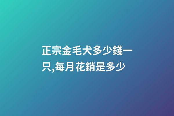 正宗金毛犬多少錢一只,每月花銷是多少-第1張-觀點-玄機派