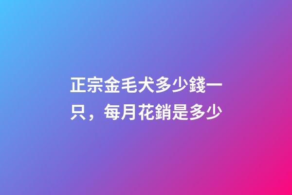 正宗金毛犬多少錢一只，每月花銷是多少-第1張-觀點-玄機派