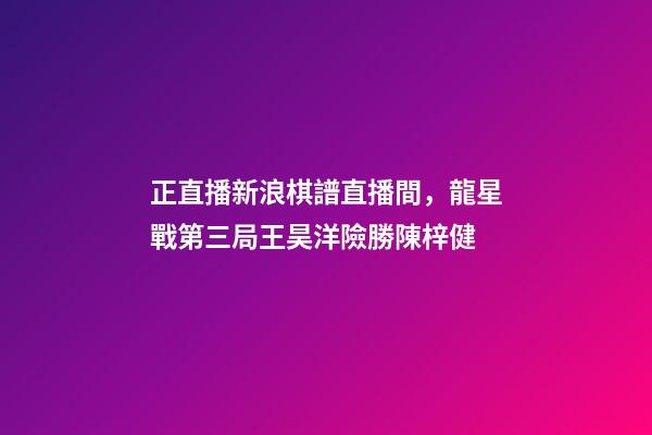 正直播新浪棋譜直播間，龍星戰第三局王昊洋險勝陳梓健-第1張-觀點-玄機派
