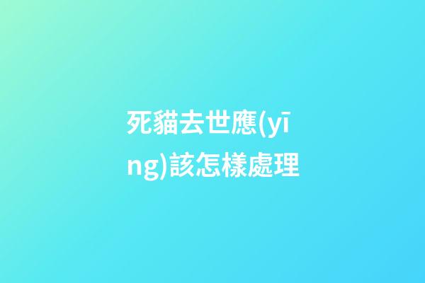 死貓去世應(yīng)該怎樣處理