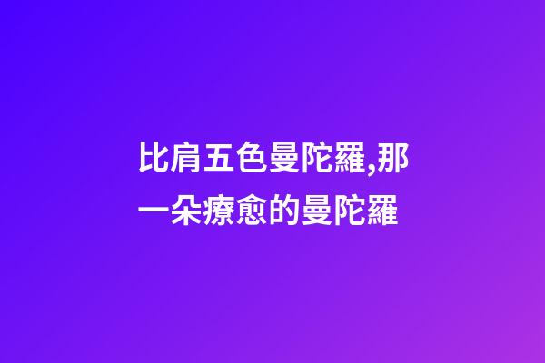 比肩五色曼陀羅,那一朵療愈的曼陀羅-第1張-觀點-玄機派