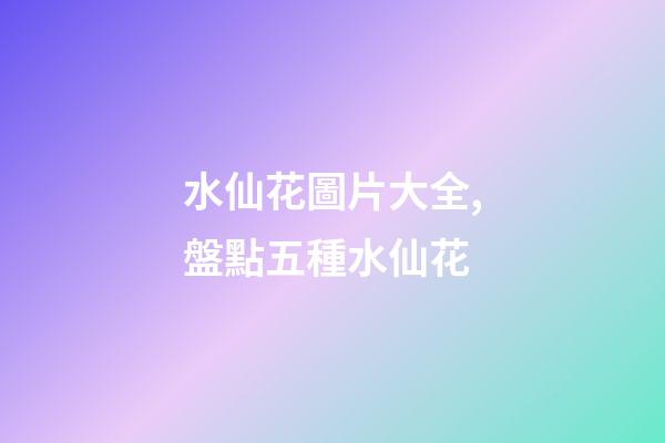 水仙花圖片大全,盤點五種水仙花-第1張-觀點-玄機派