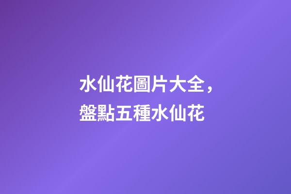 水仙花圖片大全，盤點五種水仙花-第1張-觀點-玄機派