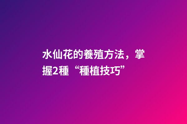 水仙花的養殖方法，掌握2種“種植技巧”-第1張-觀點-玄機派