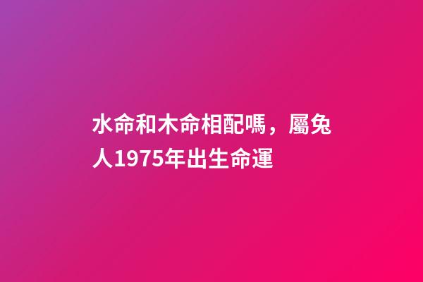 水命和木命相配嗎，屬兔人1975年出生命運-第1張-觀點-玄機(jī)派
