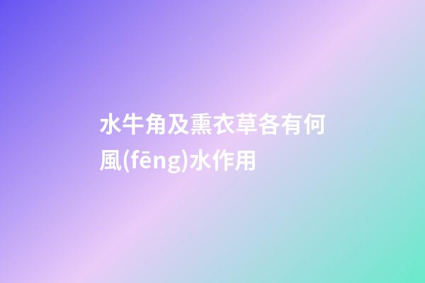 水牛角及熏衣草各有何風(fēng)水作用?