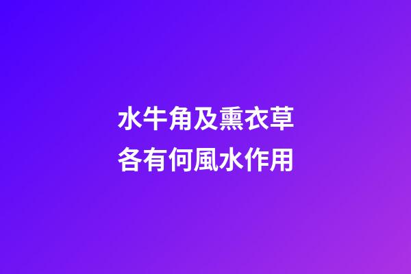 水牛角及熏衣草各有何風水作用?