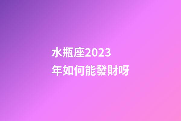 水瓶座2023年如何能發財呀-第1張-星座運勢-玄機派