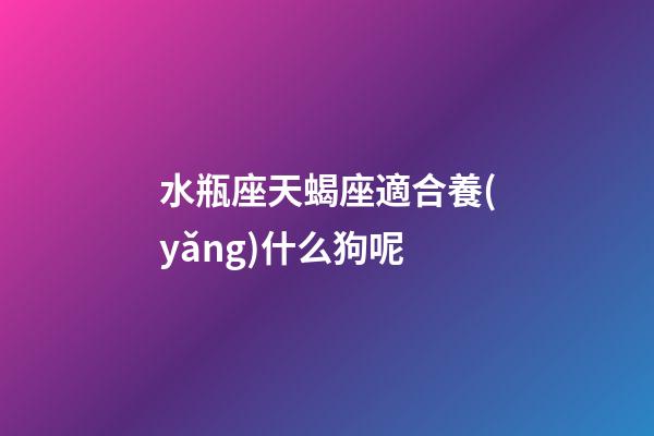 水瓶座天蝎座適合養(yǎng)什么狗呢-第1張-星座運勢-玄機派