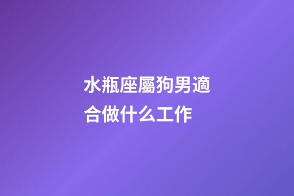 水瓶座屬狗男適合做什么工作-第1張-星座運勢-玄機派
