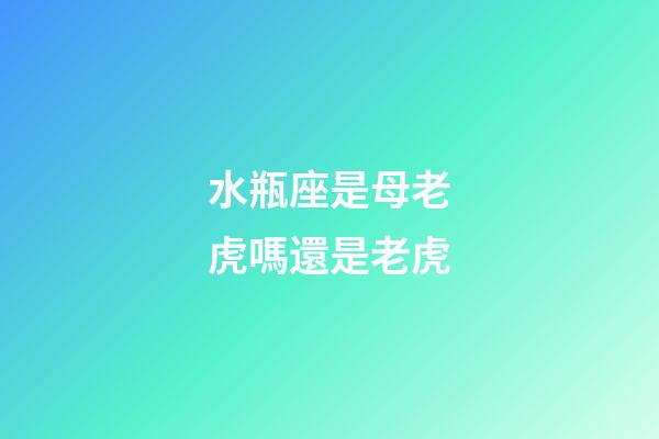 水瓶座是母老虎嗎還是老虎-第1張-星座運勢-玄機派