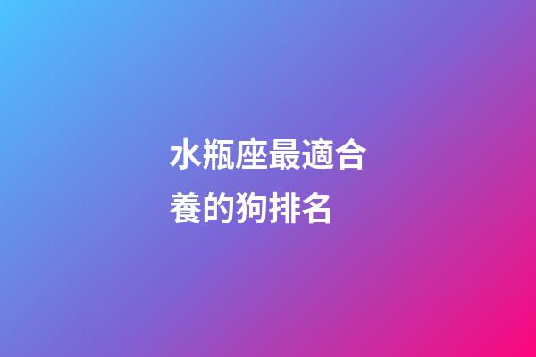 水瓶座最適合養的狗排名-第1張-星座運勢-玄機派
